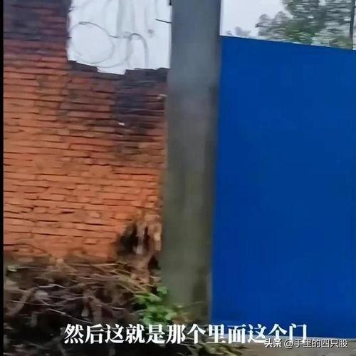 江西高中生最新爆料视频,揭秘校园生活背后真相  第2张