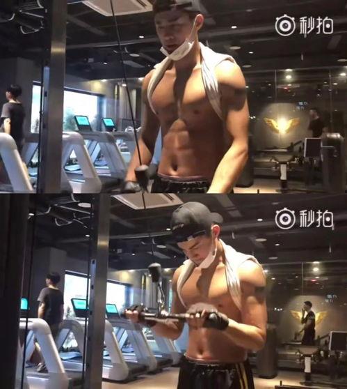 健身最新爆料视频大全集,视频大全集深度解析  第3张